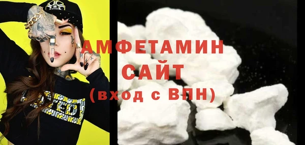 спиды Вяземский