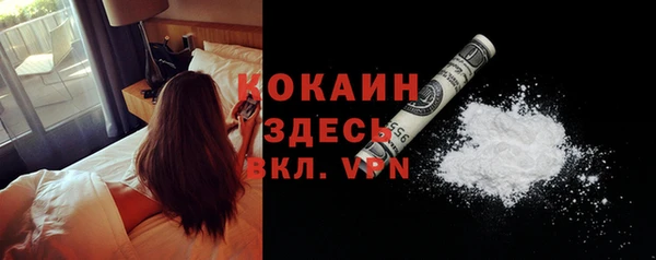 стафф Бородино