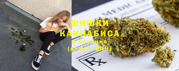 шишки Волосово